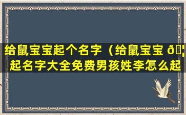 给鼠宝宝起个名字（给鼠宝宝 🦆 起名字大全免费男孩姓李怎么起）